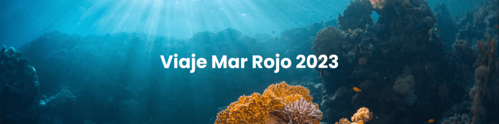 buceo en el mar rojo 2025