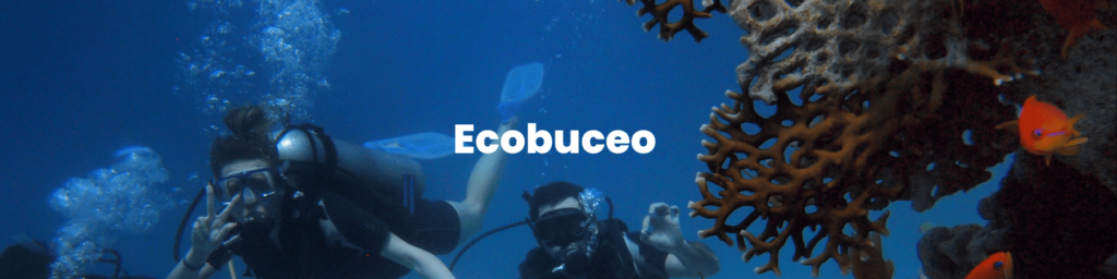 eco buceo en valencia