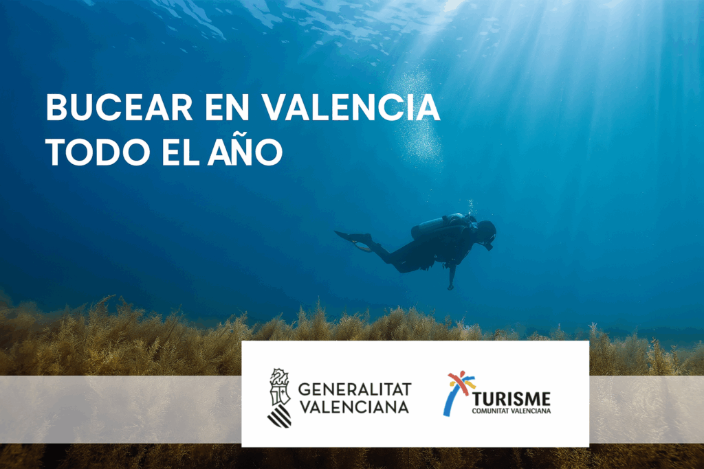 Bucear en Valencia todo el año