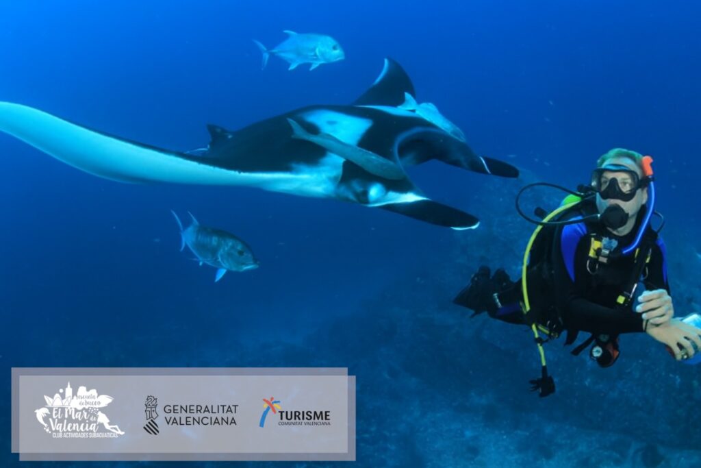 Conviertete en Profesional PADI en Valencia