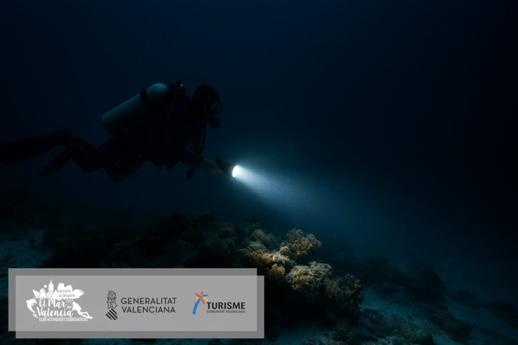 Buceo nocturno: qué esperar, cómo prepararte y errores comunes