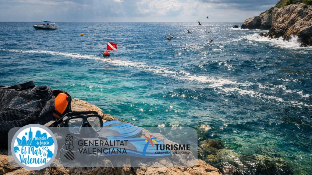 Leer el mar antes de bucear señales visuales y ambientales que anticipan las condiciones bajo el agua